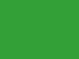 Robison-Anton Polyester - 5514 Emerald